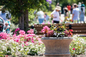 Tourism-300x200 Tourism-300x200